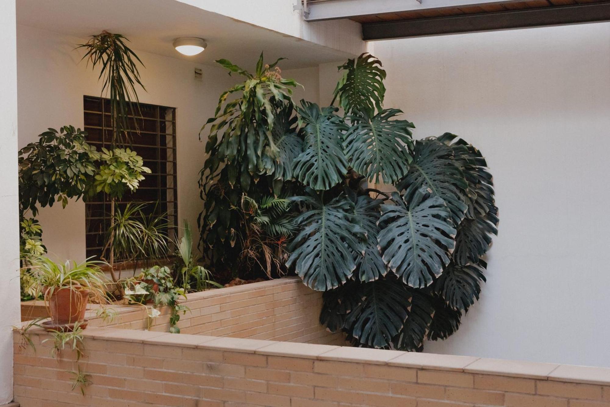 Suite Zamorano Malaga Bagian luar foto